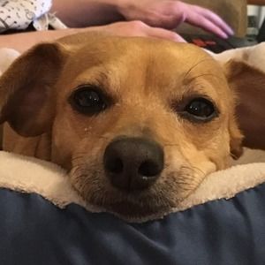 Meet your Posher, Cheryl